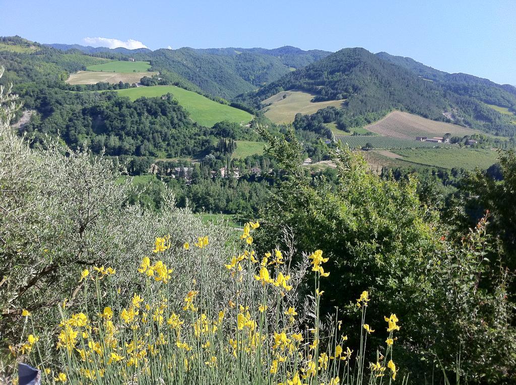 Corte San Ruffillo Country Resort Dovadola エクステリア 写真