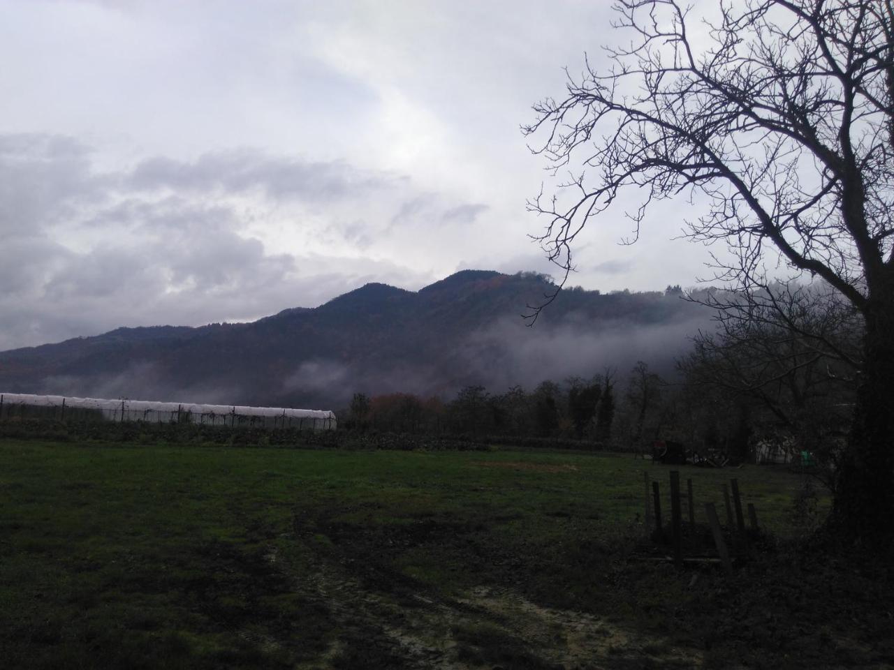 Corte San Ruffillo Country Resort Dovadola エクステリア 写真